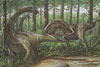 Carcarodontosaurus e Titanossaur&iacute;deo