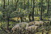 Dinodontosauro