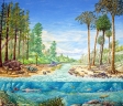 Períodos Carbonífero e Cambriano (2008)