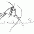 DESENHO NO JARDIM BOTÂNICO EM CURSO