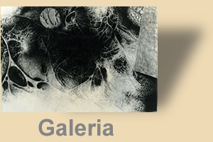 icone_galeria