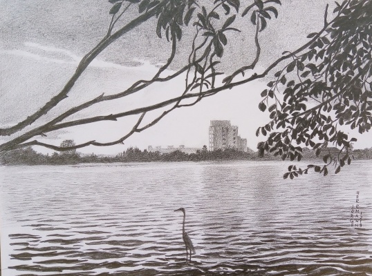 Lagoa-do-Violão-20x30-cm-R-30000-desenho-a-grafite