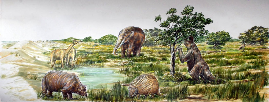 Pleistoceno-Museu-sobre-a-História-Geológica-do-RS-Unisinos