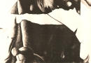 Um de 4 (1989)