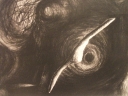 Pteróide à Espera (1988)