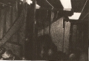 As Rotinas (1988)
