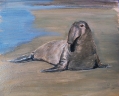Elefante-marinho (2021)