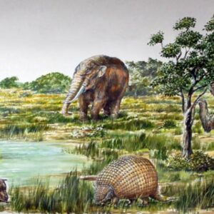 Pleistoceno-Museu-sobre-a-História-Geológica-do-RS-Unisinos